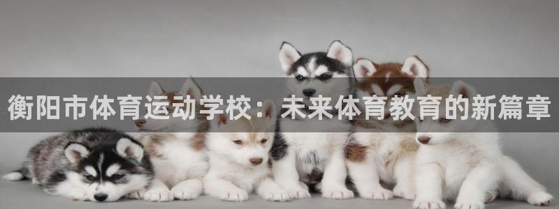 oety欧亿