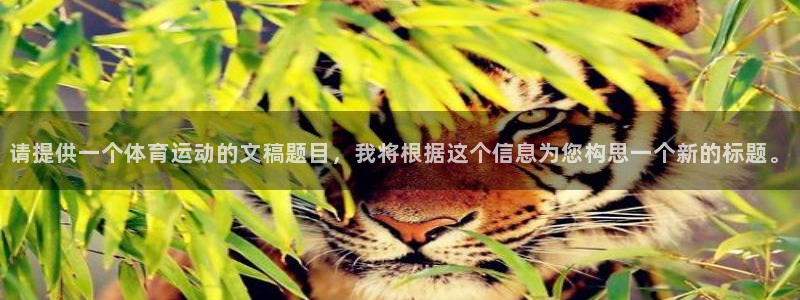 oety欧亿
