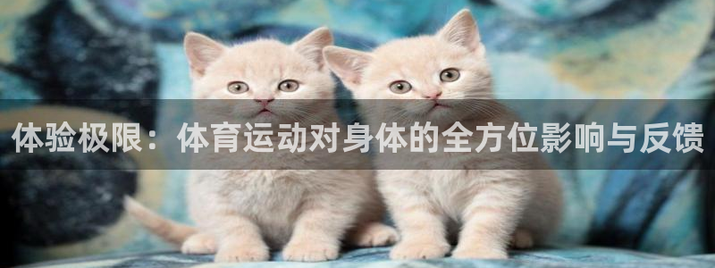 oety欧亿