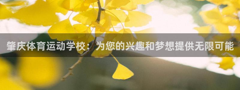 oety欧亿