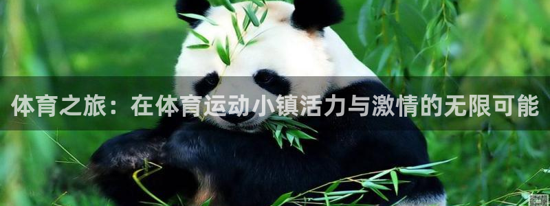 oety欧亿